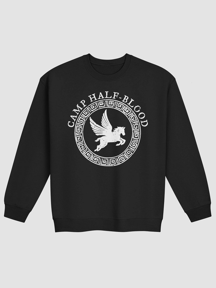 Percy Jackson Camp Half Blood Sweatshirt 1B2 product image (10)