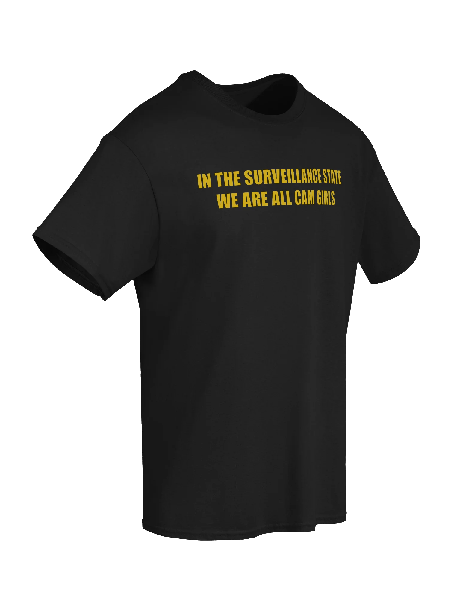 IN THE SURVEILLANCE STATE WE ARE ALL CAM GIRLS product image (69)