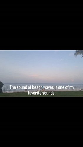I miss Florida a little bit already. Minus the heat that almost 💀 us. Like legit it was brutal.#florida #verobeach #beachvibe...