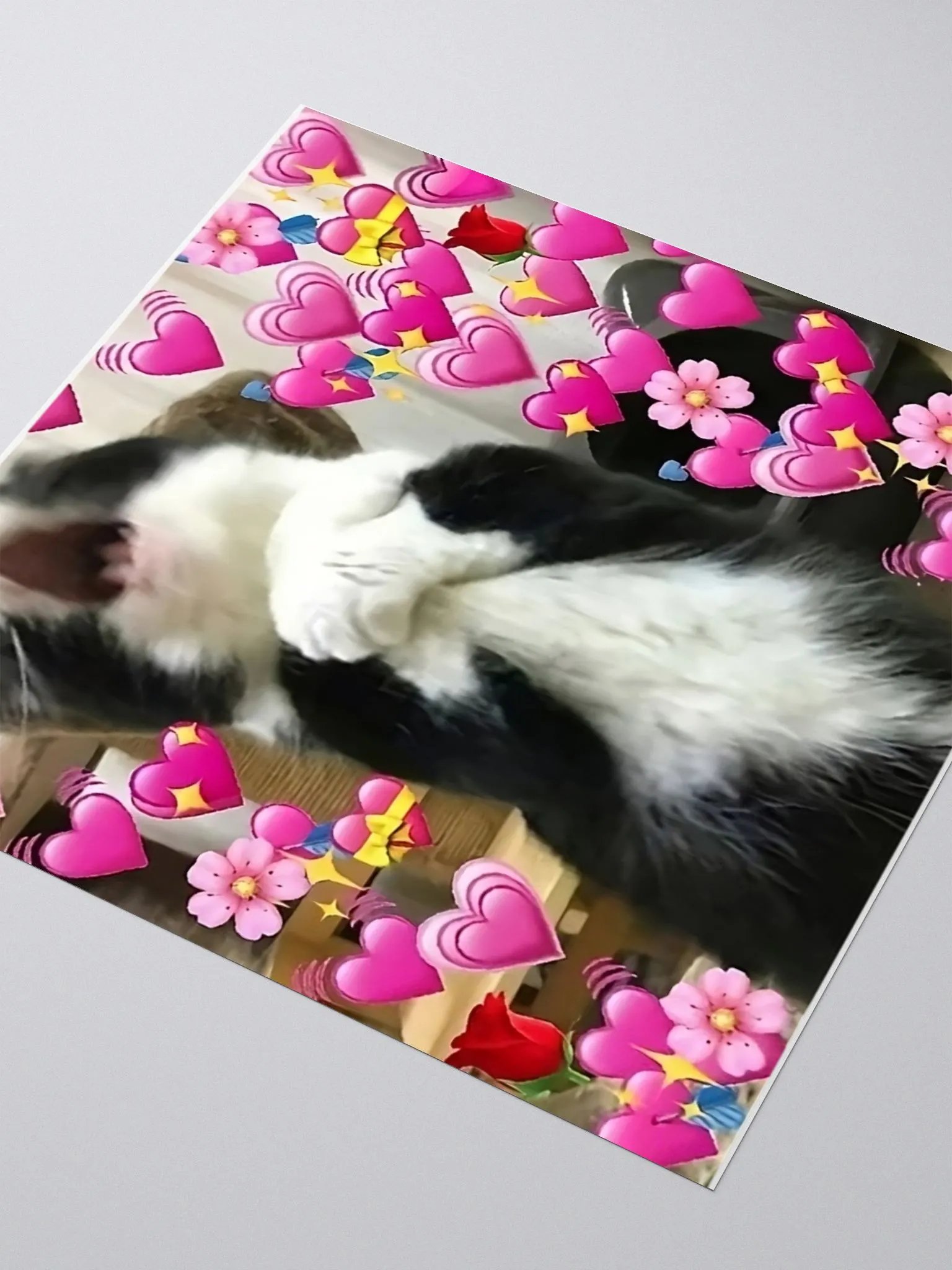 Kiss Cut Stickers: Meme Cats product image (3)