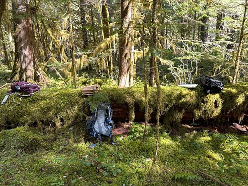 Field Trip May 10!

This year, we are offering the Graduate Program: Further Botanical Studies (formerly the Alumni Series). ...