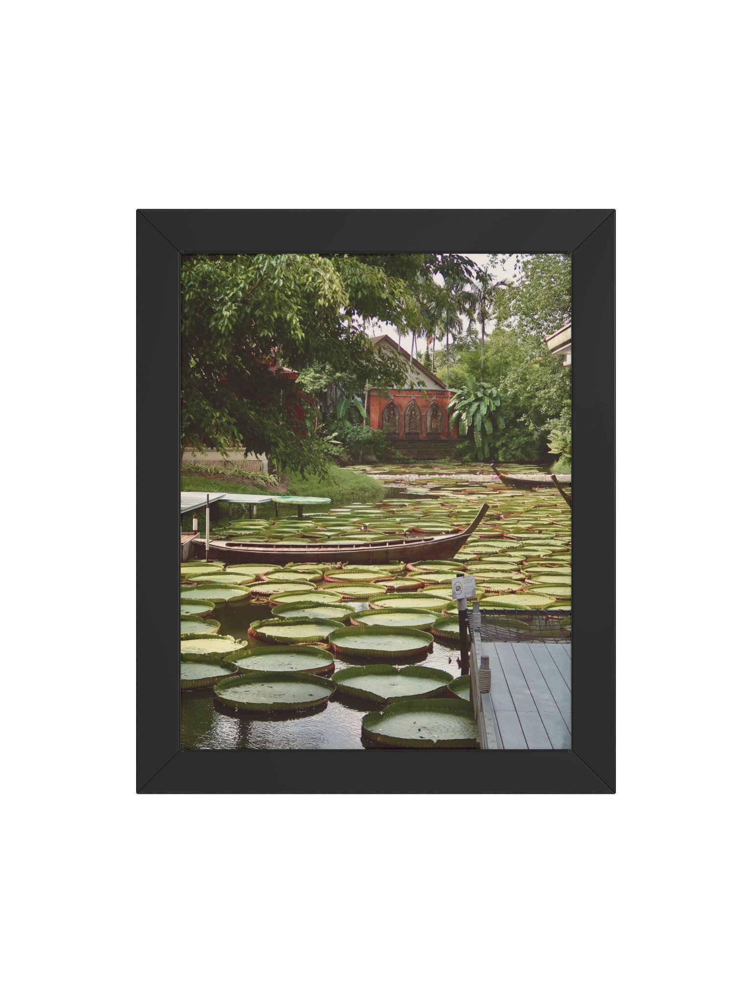 Phuket Lily Pad product image (48)