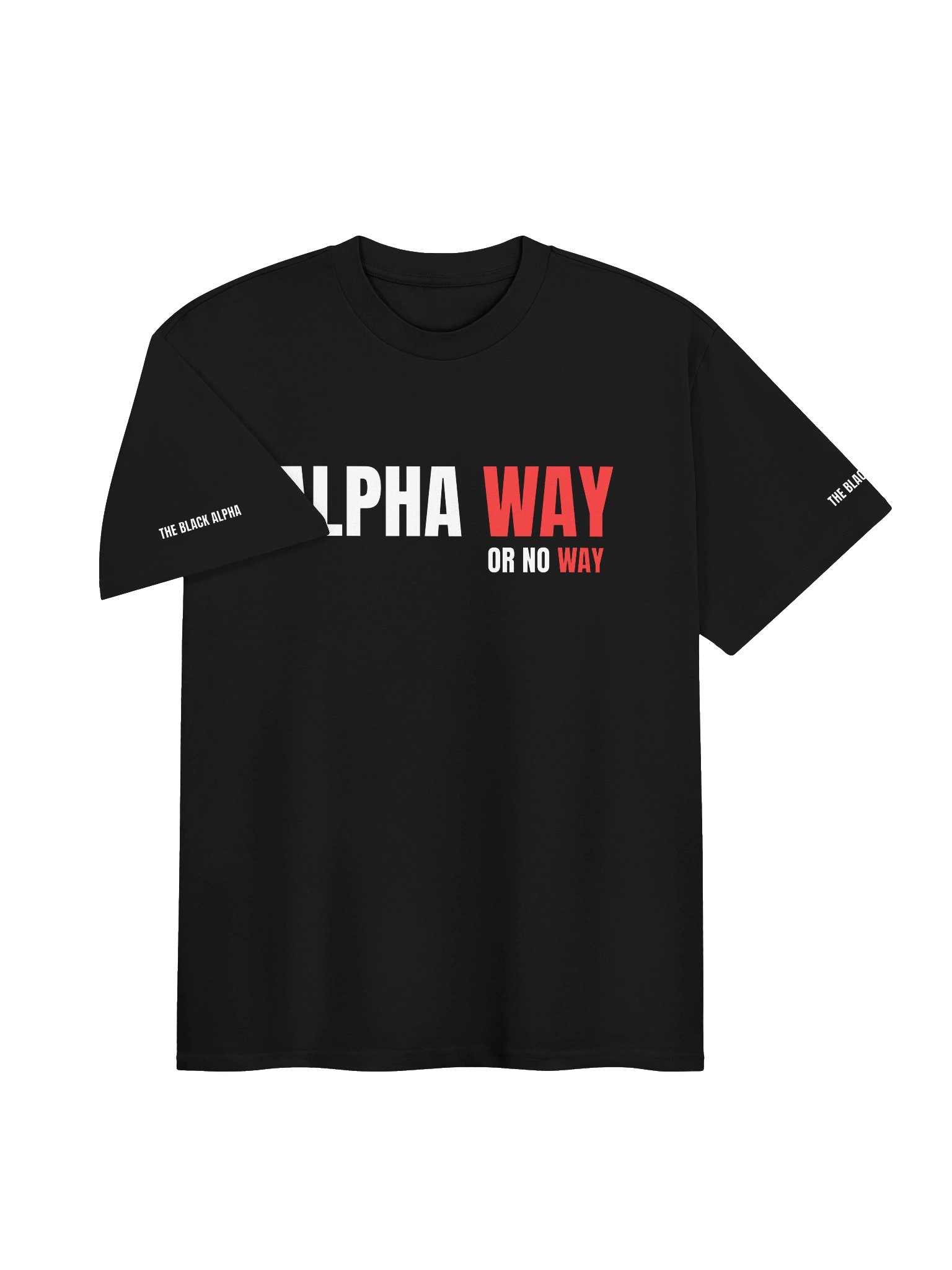 Alpha Way Heavy Tee product image (3)