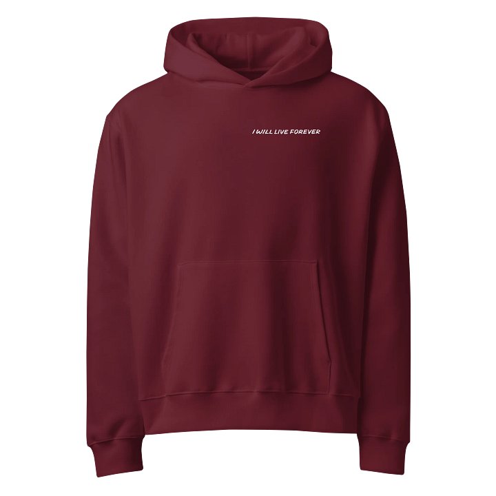 Promises: I WILL LIVE FOREVER product image (5)