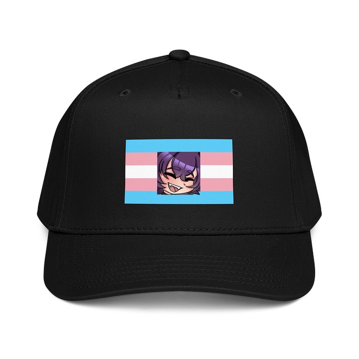 Cyn's Transgender Hat product image (1)