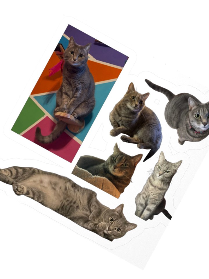 Lucipurr the Gray Cat Stickers product image (2)