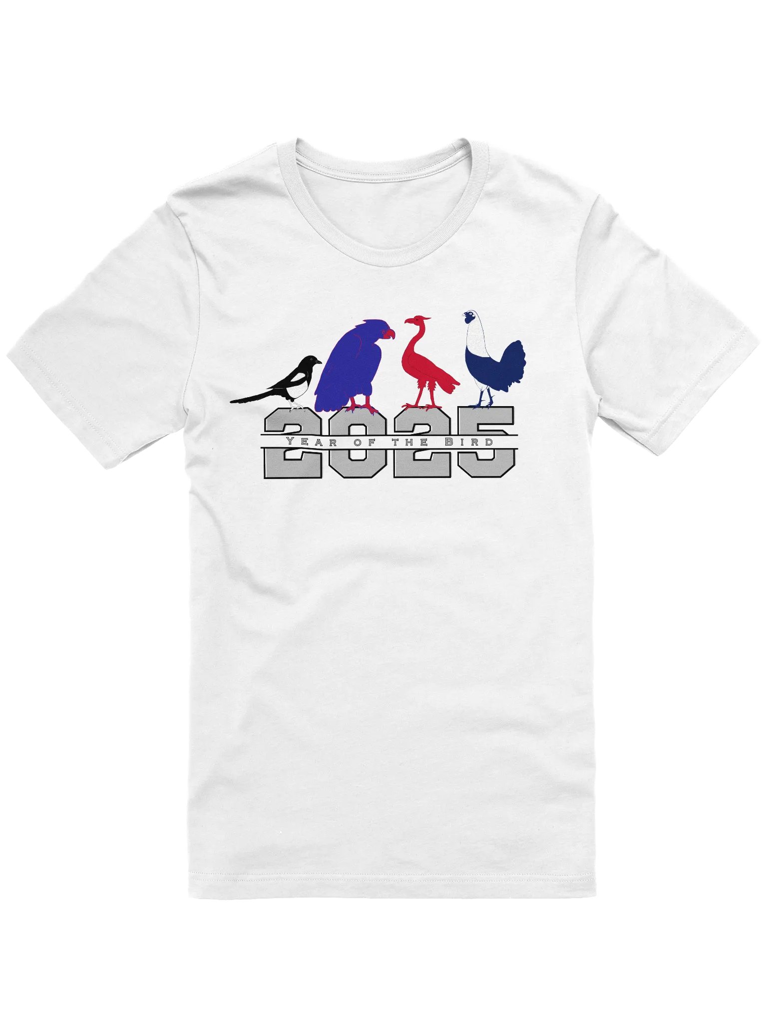 2025 Birds Soft Tee product image (2)