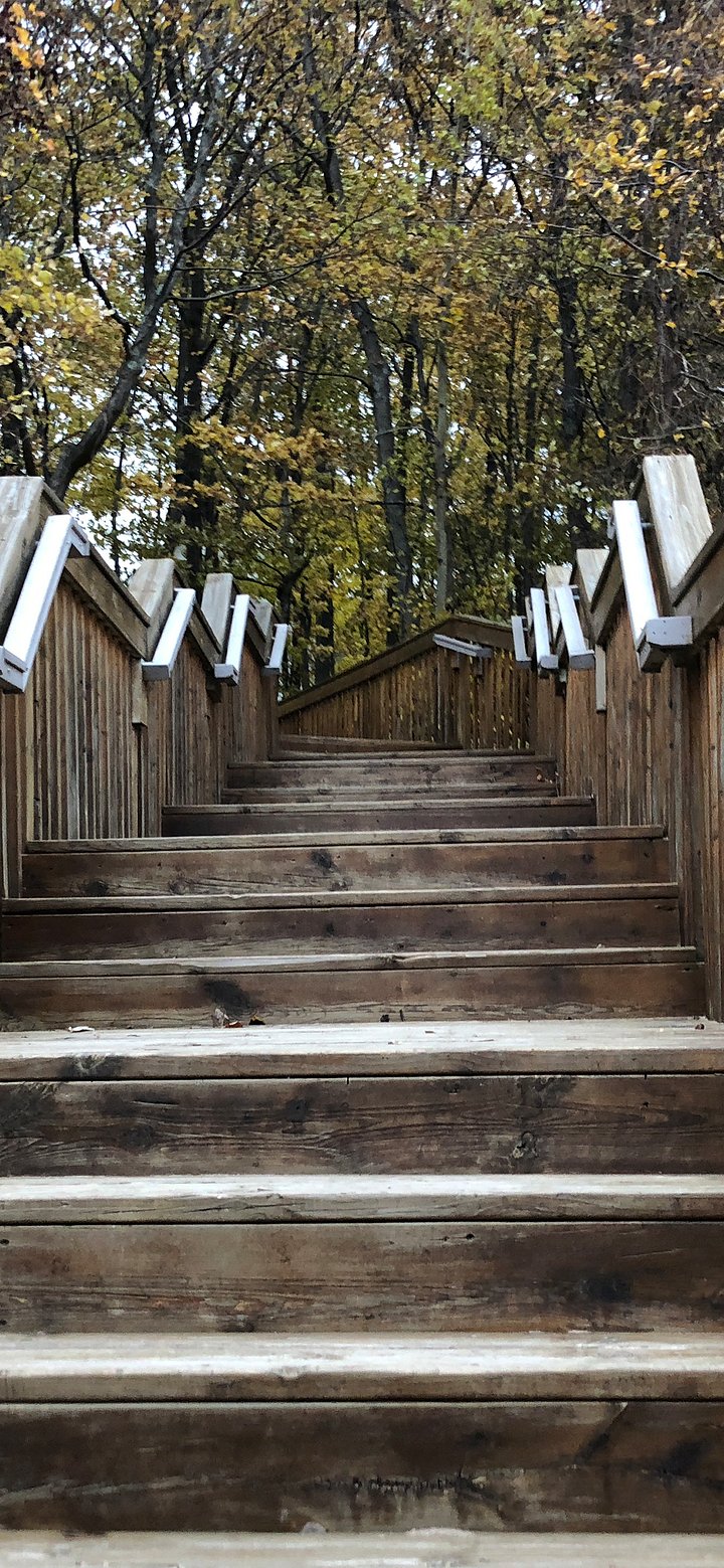 Wooden Steps Phone Background product image (1)