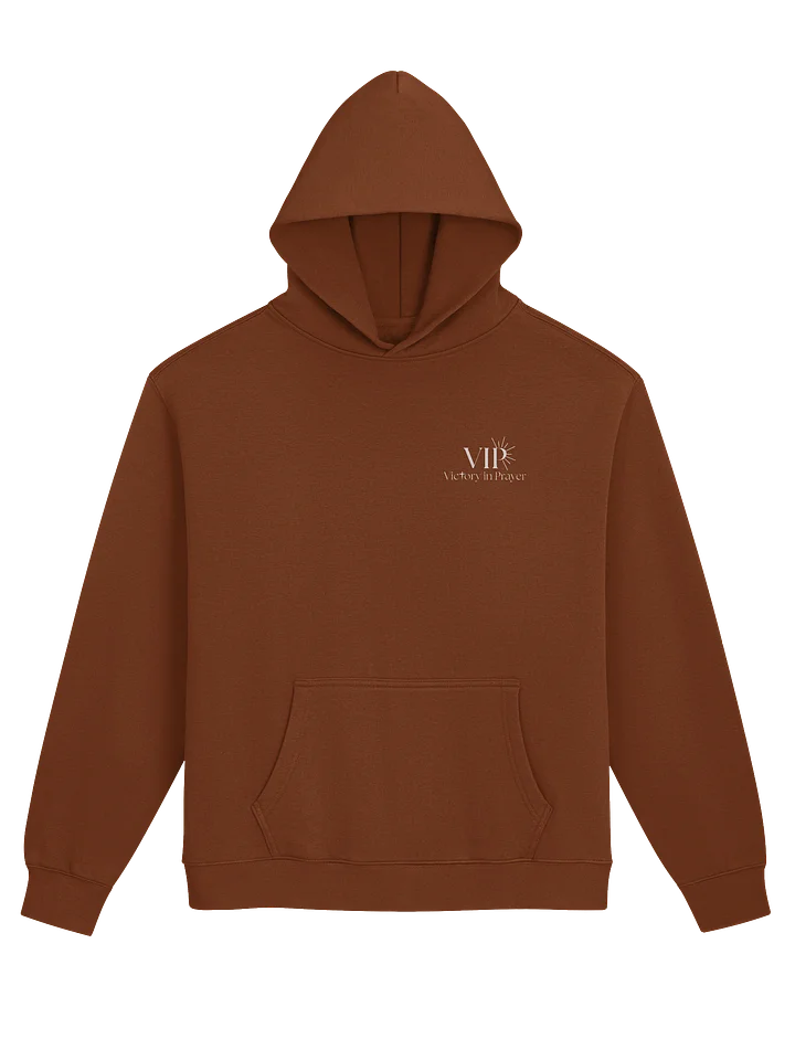 VIP Psalms 23 Premium Unisex Hoodie product image (1)
