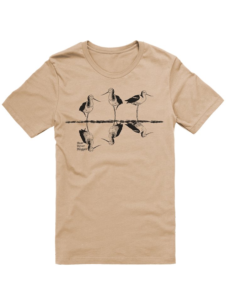 Amarican Avocet Trio Reflection Classic Tee product image (49)