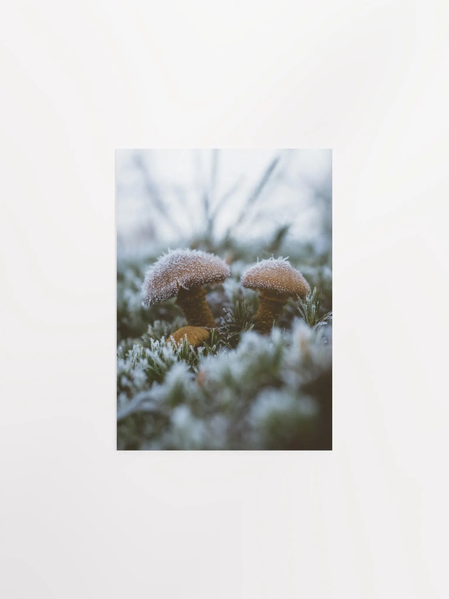 Frozen Over product image (4)