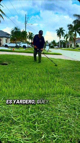 🤣🤣🤣#lawncare #fyp #landscaping #yardwork #floridalandscaping