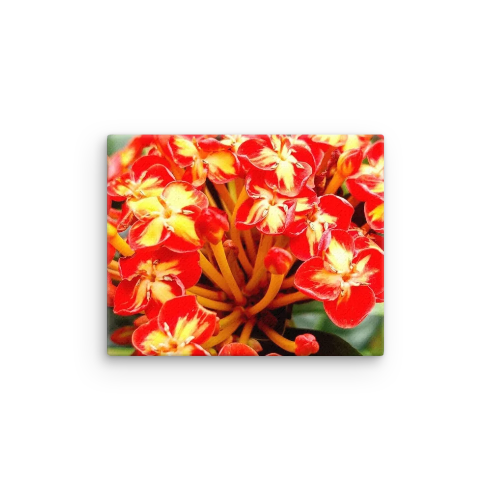 Ember Bloom Thin Canvas product image (1)