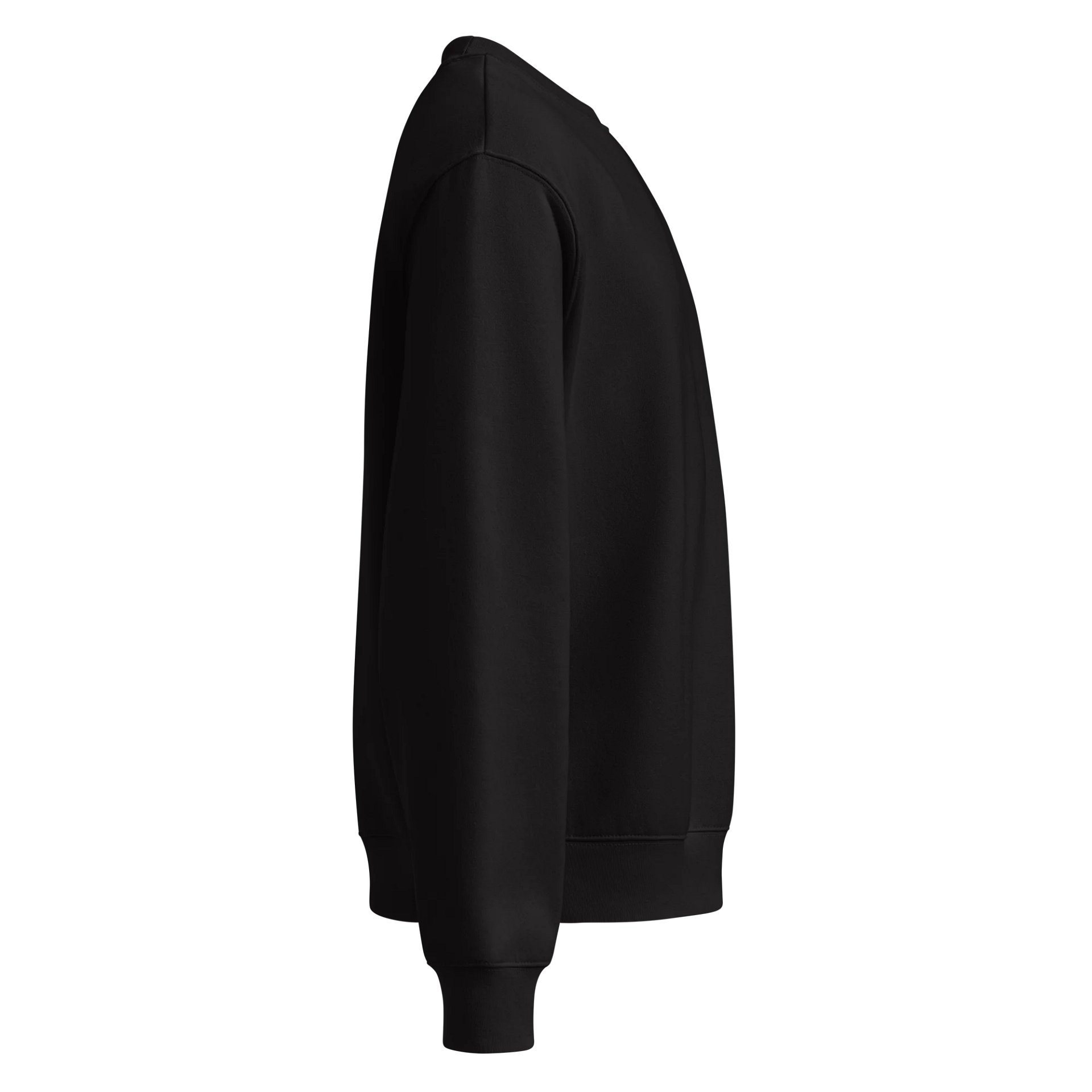CS Oversized Heavyweight Sweatshirt product image (8)