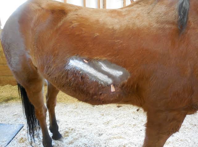 Aluminum Wound Spray Bandage product image (5)