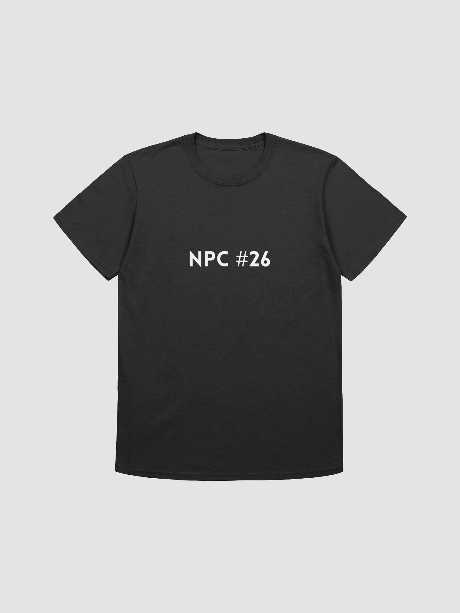 iNPC - Paladin product image (1)