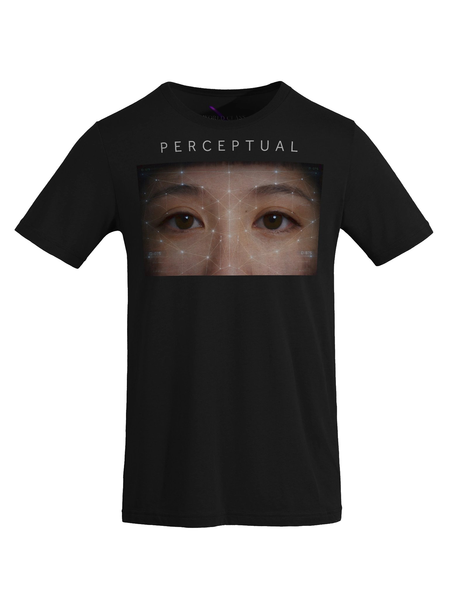 Perceptual product image (8)