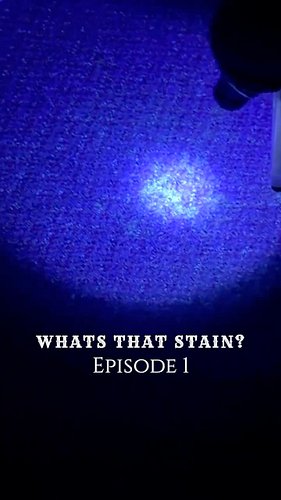 On today’s episode of What’s that Stain? We turn on the black light in a very overlooked motel room 👀 #humor #ghosthunter #ho...