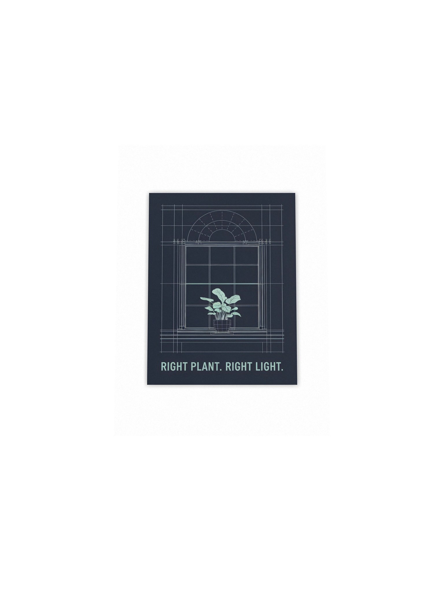 Right Plant. Right Light. — Print product image (4)