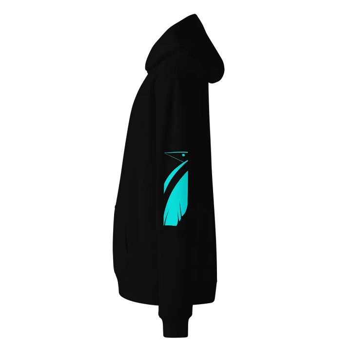 Raven Division Hoodie product image (1)