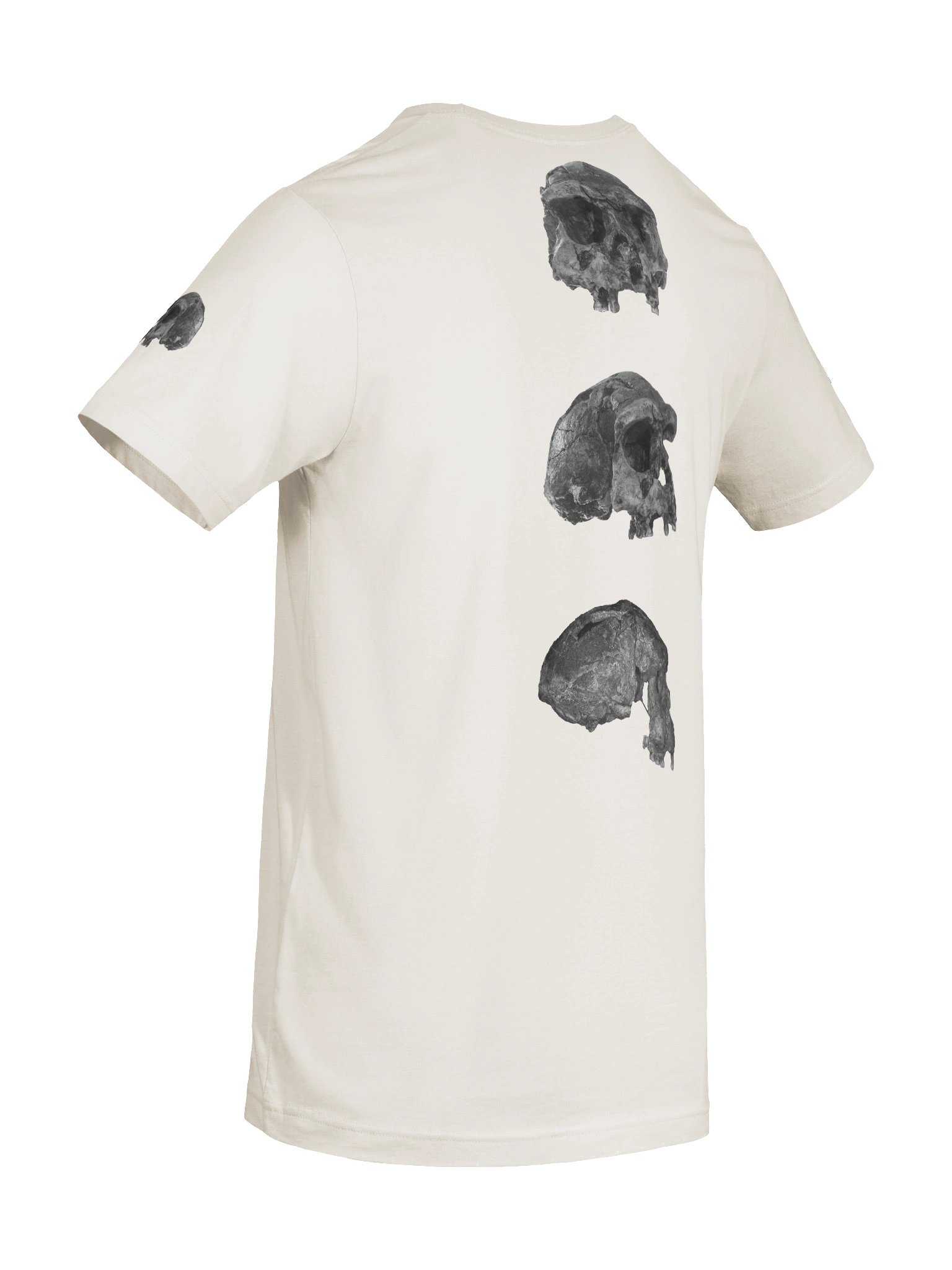 Erectus Fossil Skull T-Shirt Light product image (56)