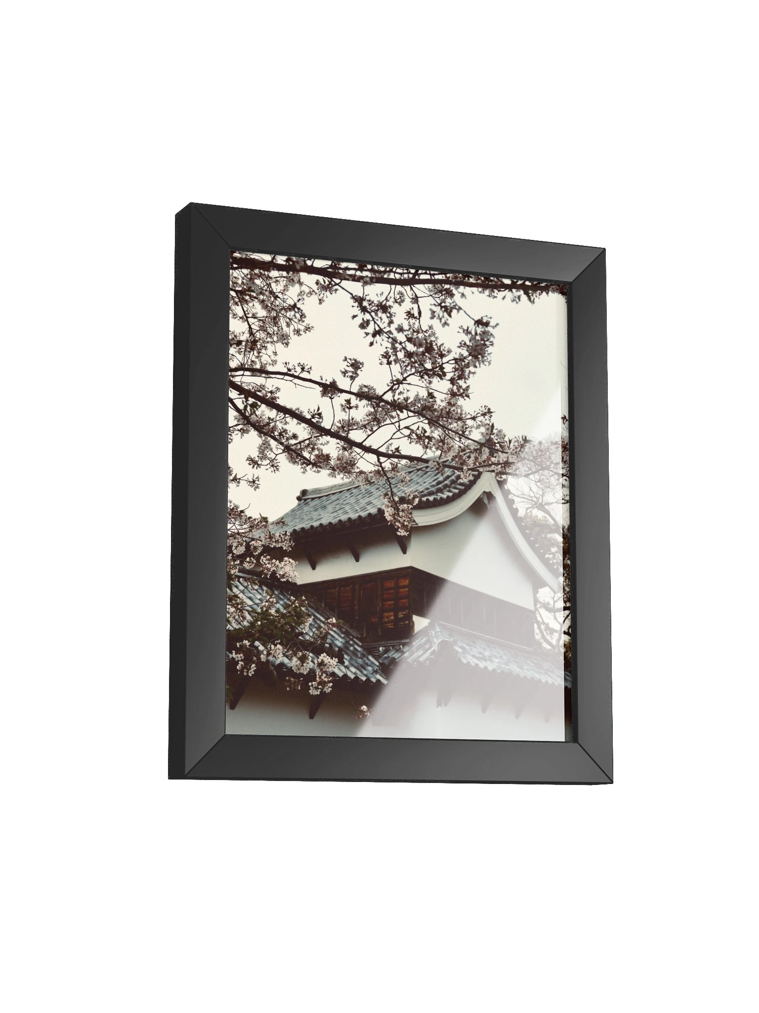 Fukuoka Sakura product image (23)