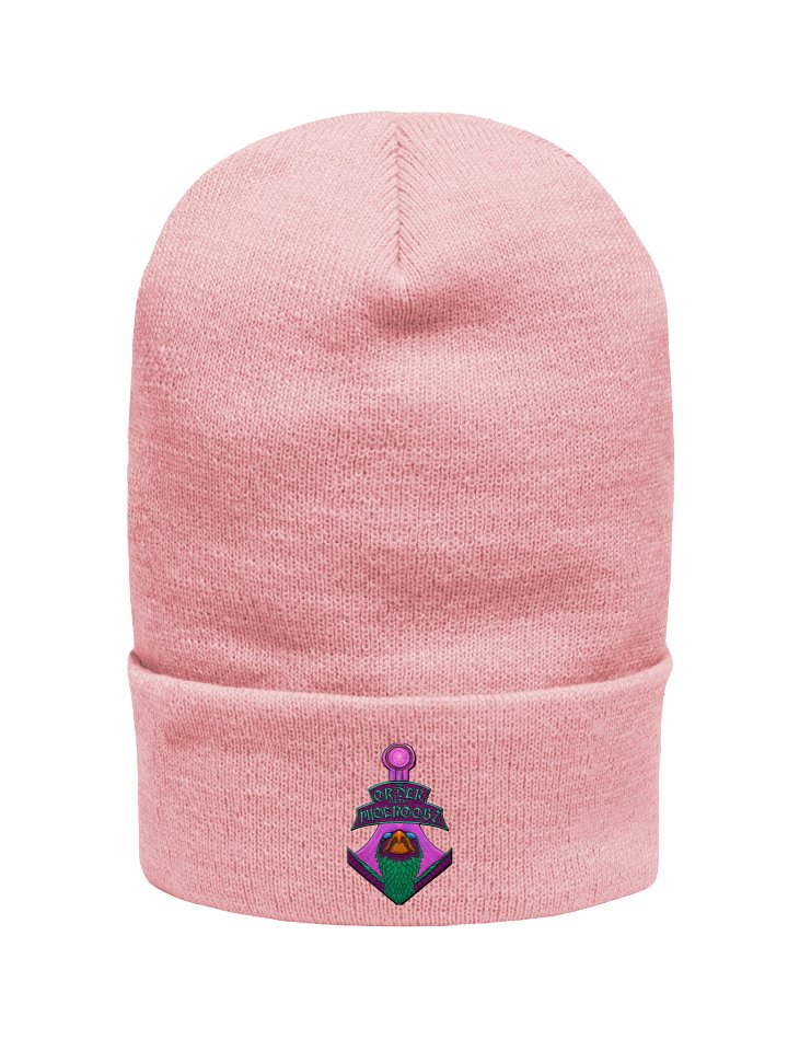 Order of the Phoenoobz Team Beanie product image (4)
