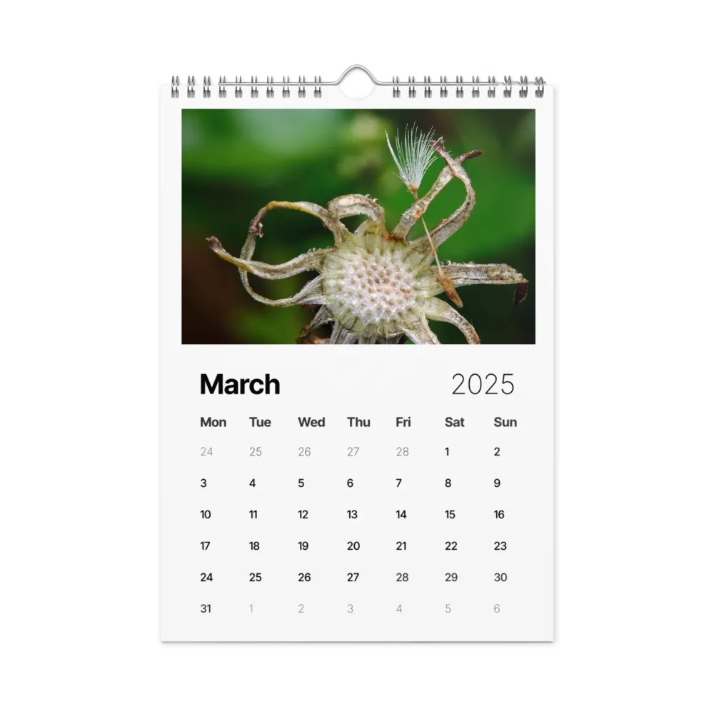 Ephemeral Dandelions 2025 Wall Calendar product image (4)