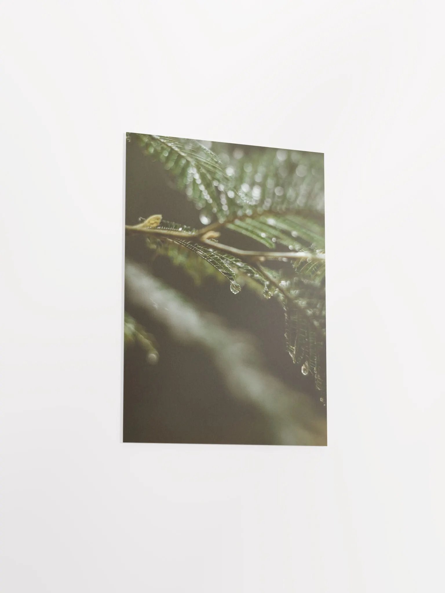 Vintage Drop product image (11)