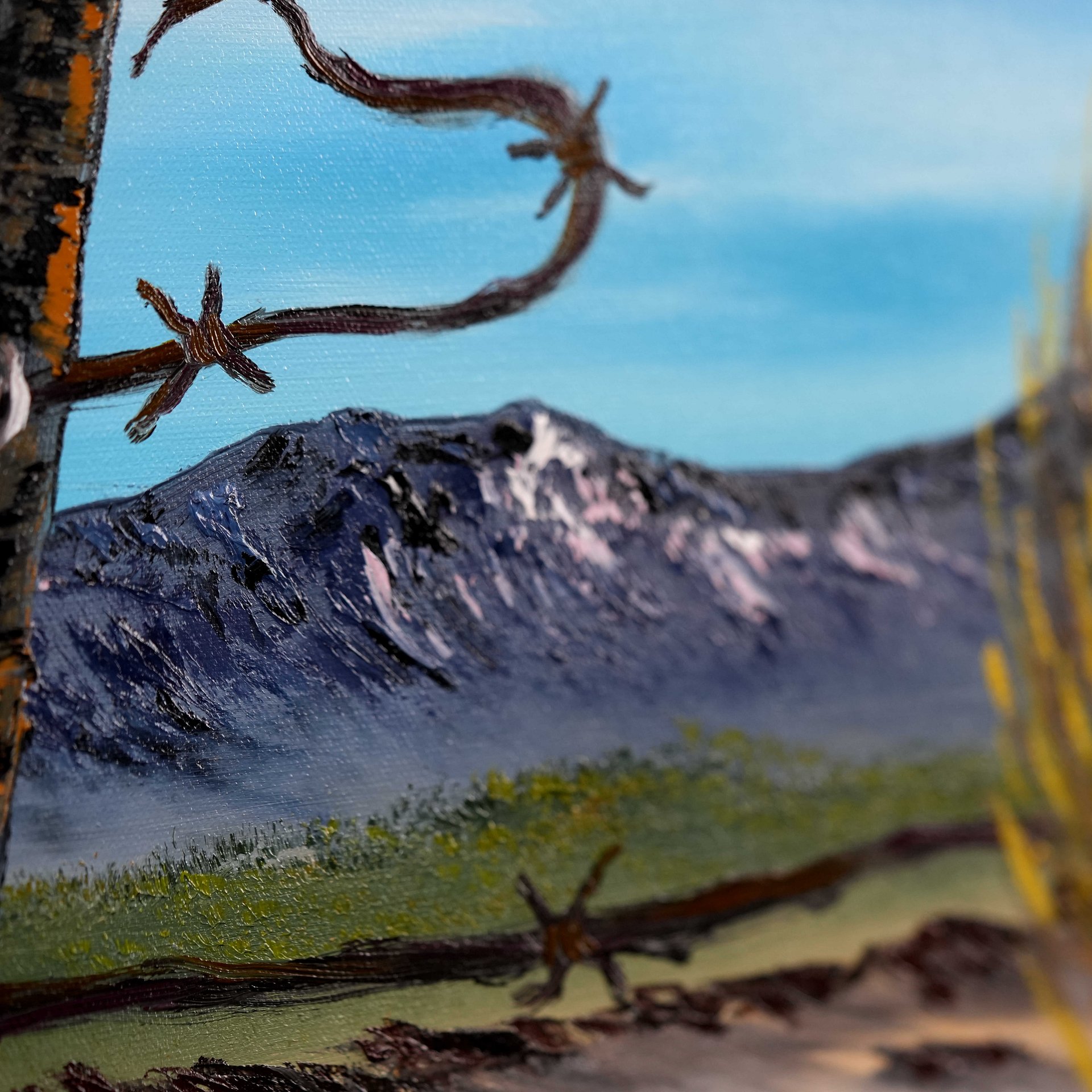 The Tumbleweeds View (Original) 24x48 Canvas product image (3)
