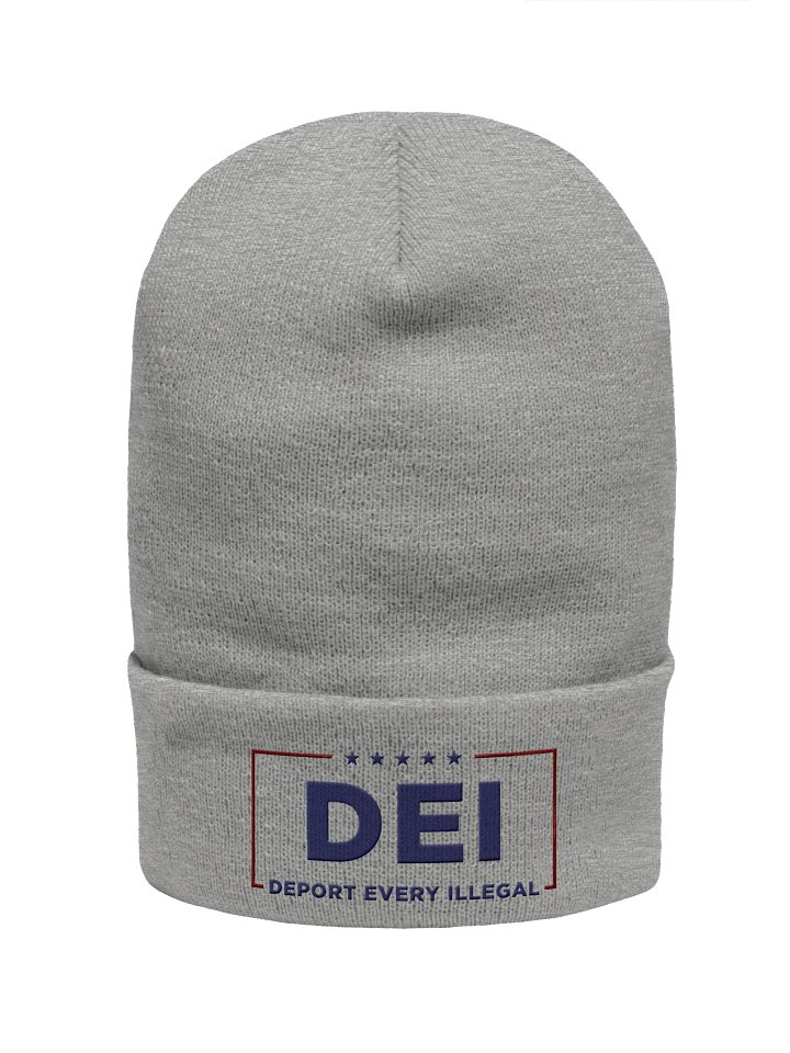 UnR DEI Beanie product image (1)