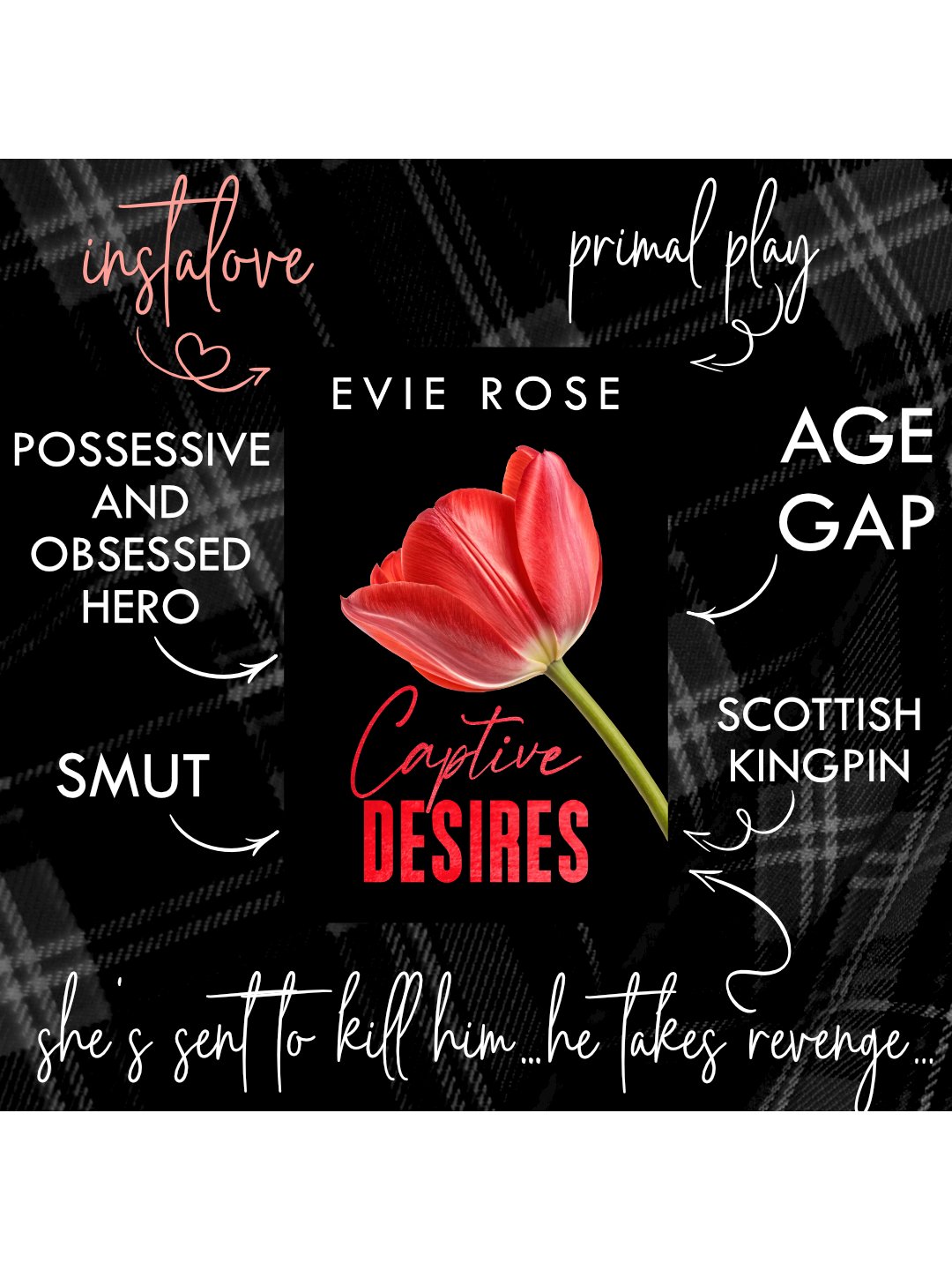 Captive Desires product image (2)