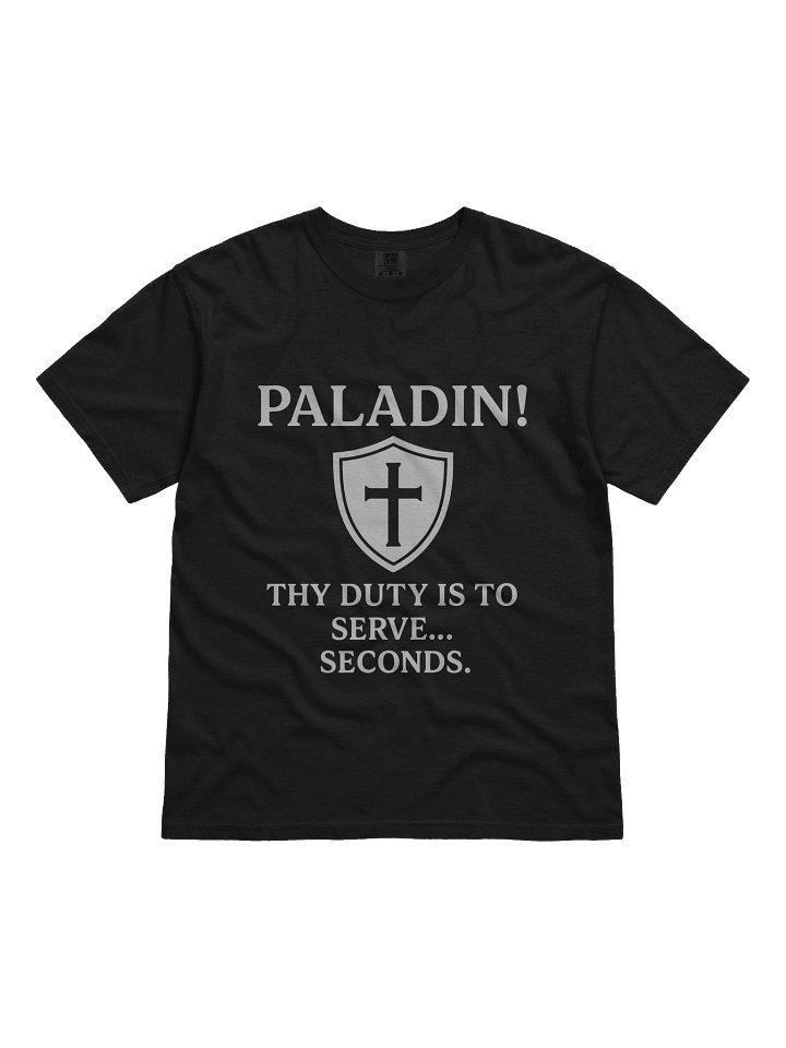 PALADIN product image (13)