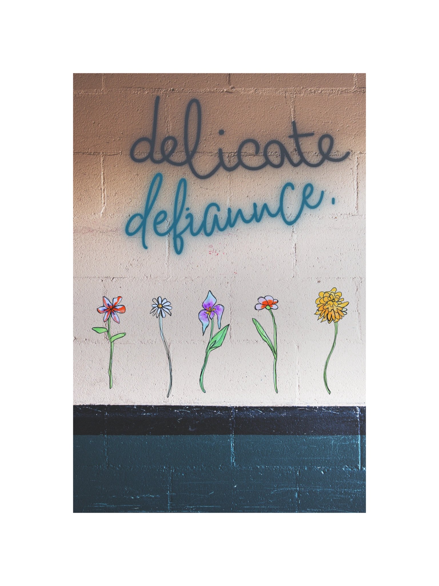 Delicate Defiance product image (4)