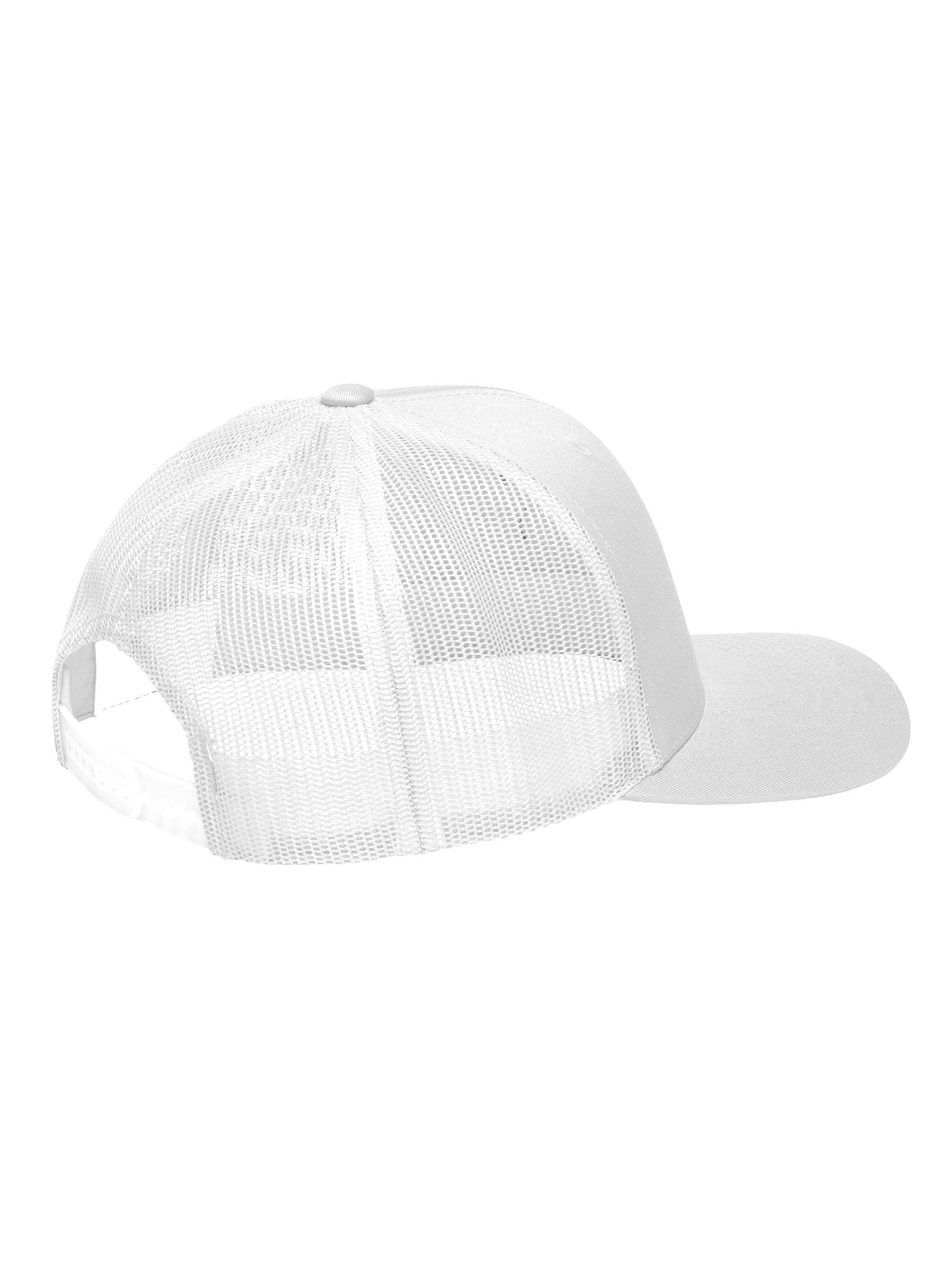 Original Influencer Retro Hat product image (2)