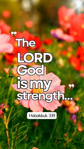 The Lord Is Your Strength
🧡🩷🤍🧡🩷🤍🧡🩷🤍🧡🩷🤍🧡🩷🤍🧡🩷🤍🧡🩷🤍
Habakkuk 3:19 — “The LORD God is my strength…”
#BibleVerses #DailyBibleVerse ...