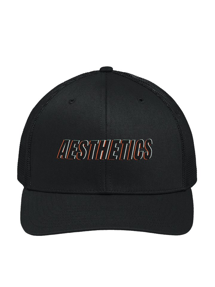 AESTHETICS product image (1)
