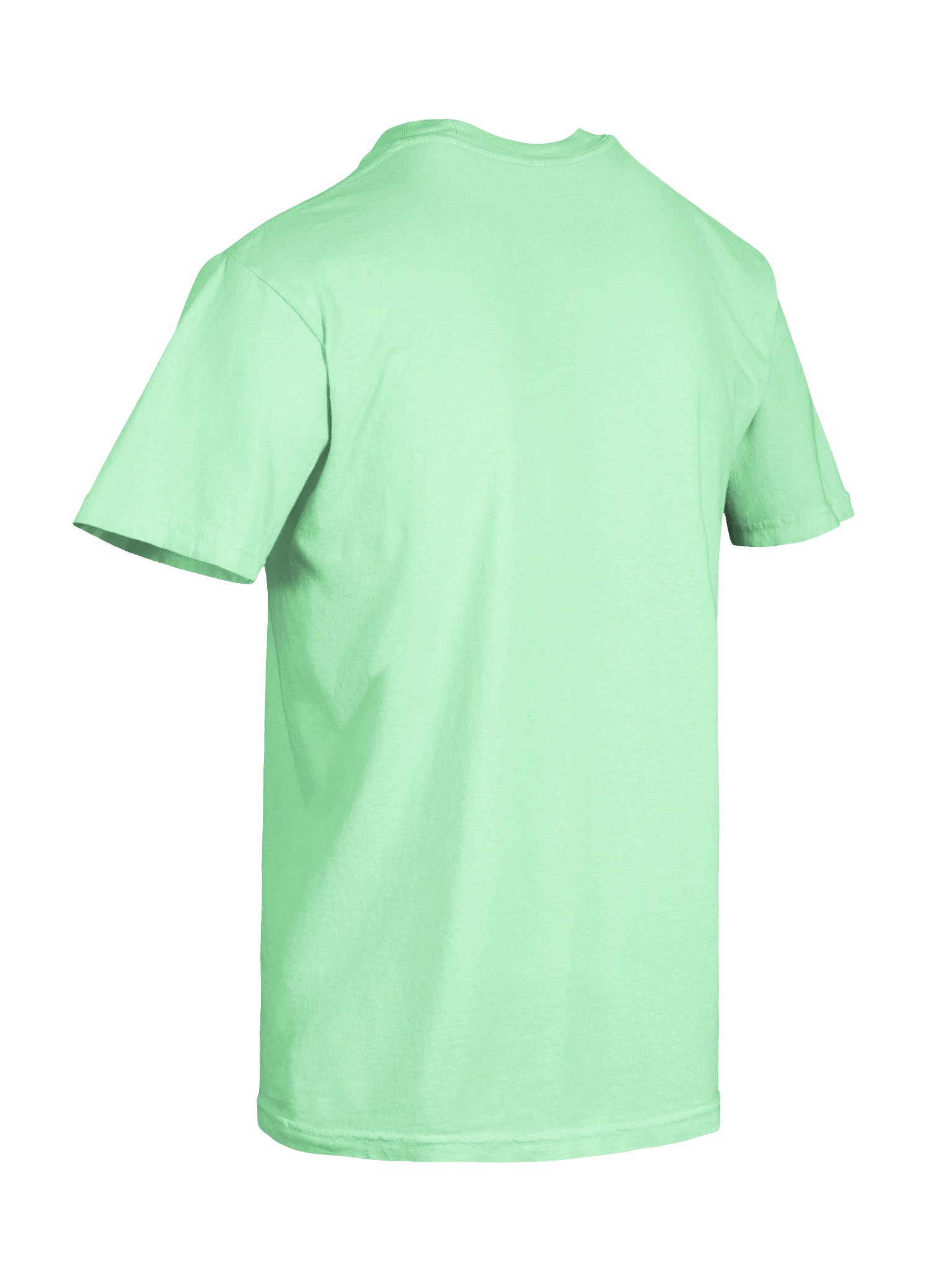 Poll Worker (Light) product image (8)
