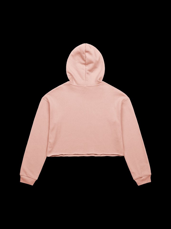 HollyRex Cropped Hoodie product image (13)