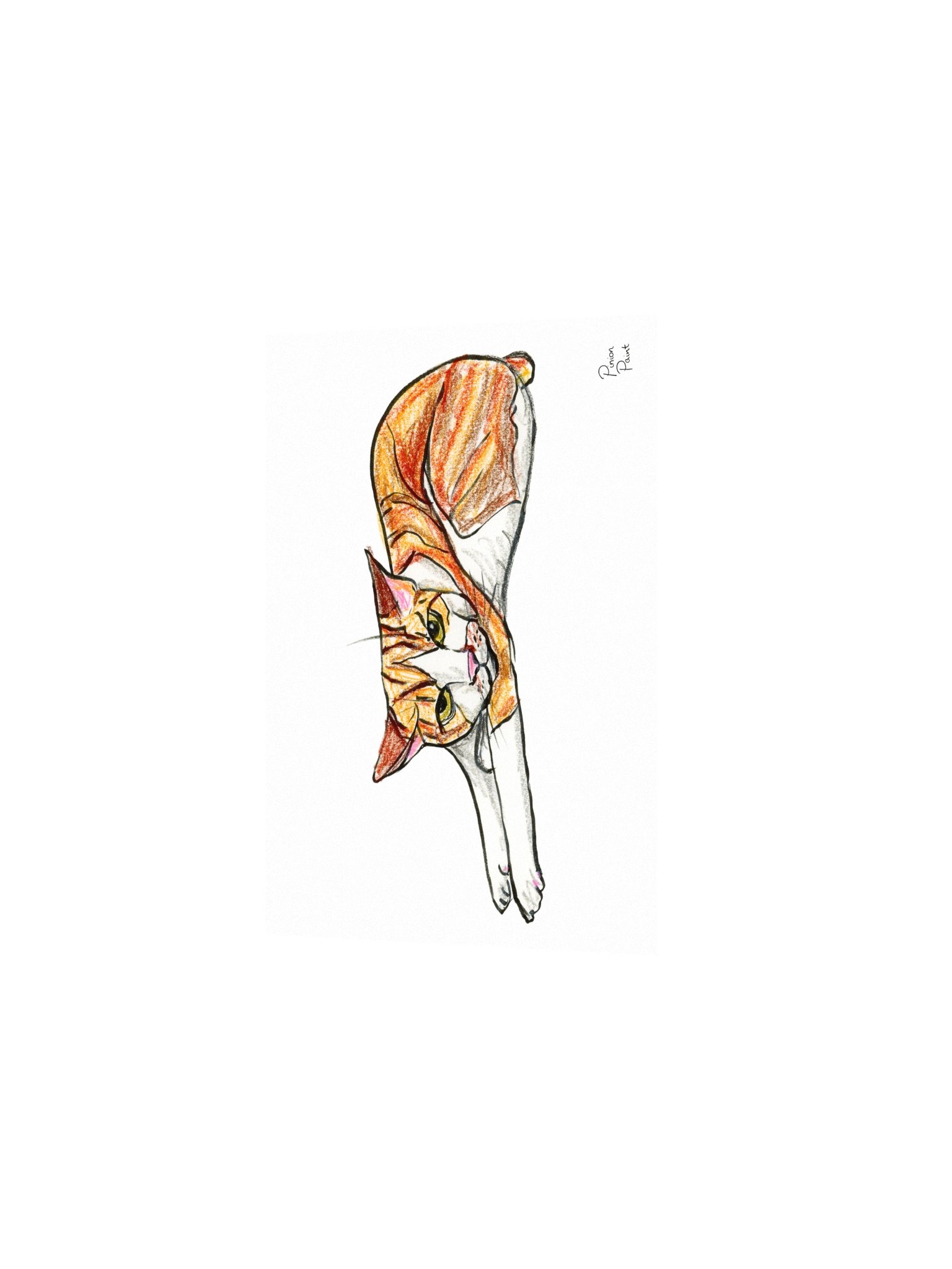 Sproot three product image (3)