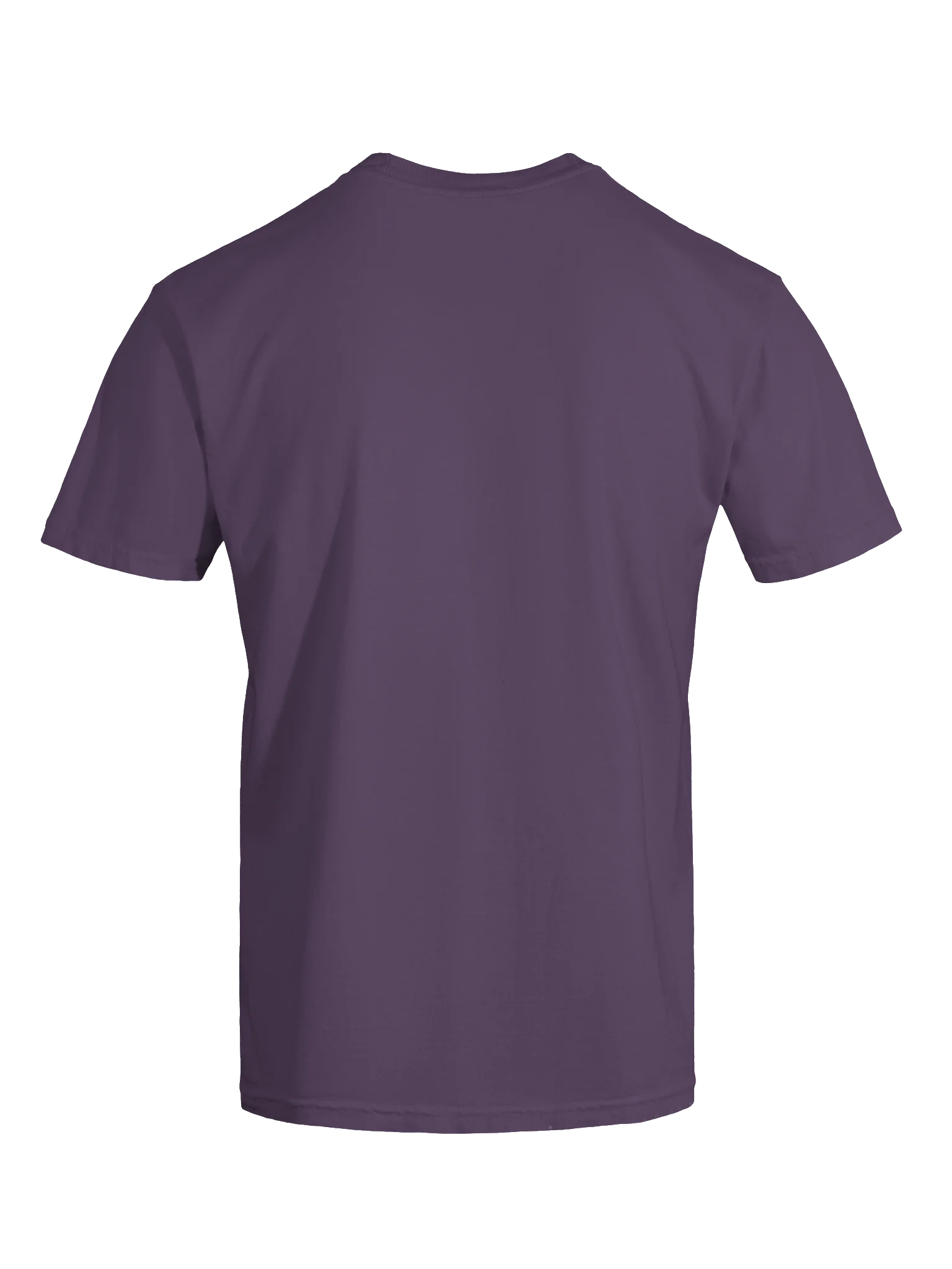 Psalm 42 Essential Tee product image (9)