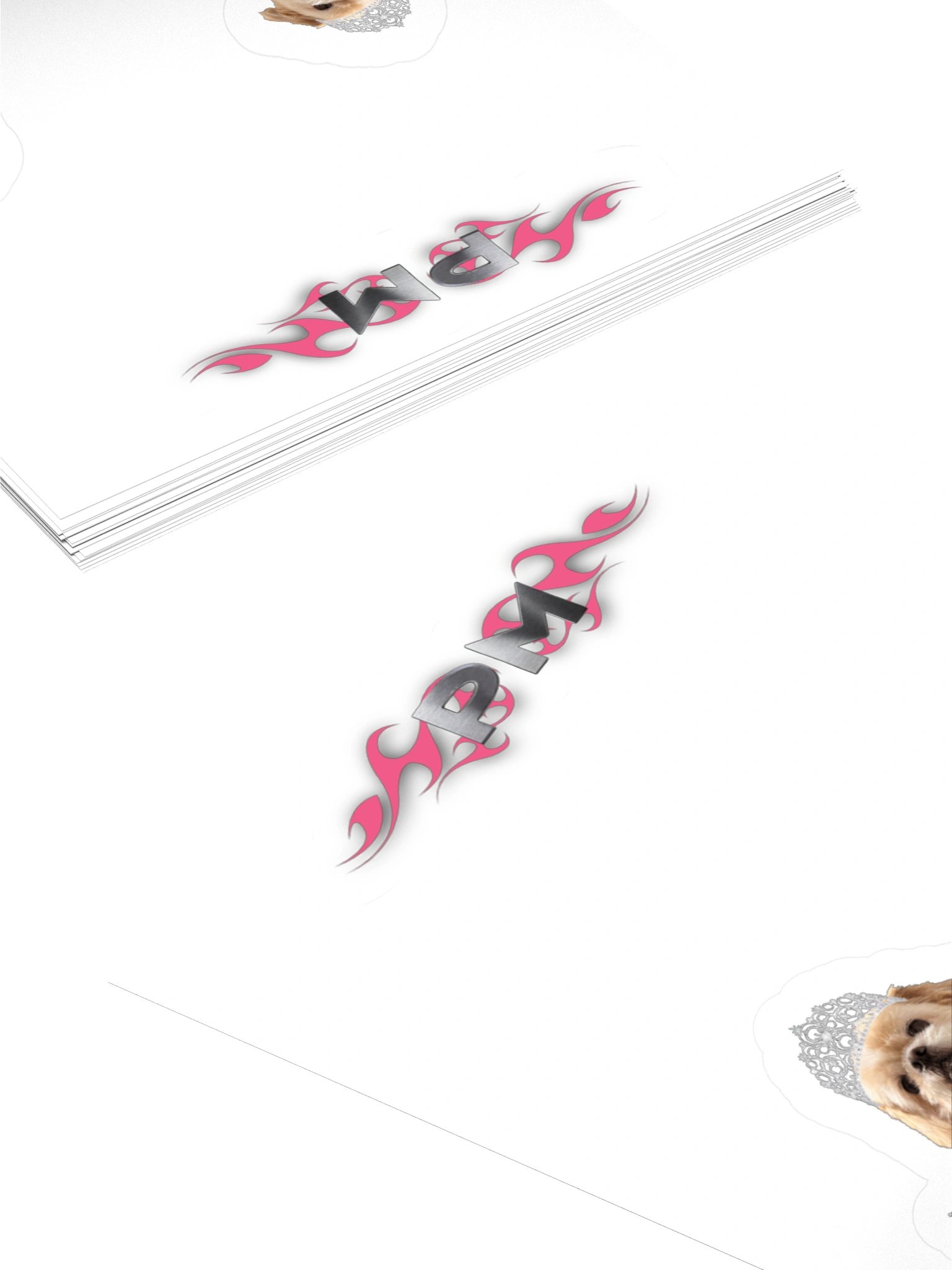 PM-DOG product image (7)