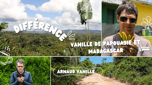 Vanille de Papouasie vs vanille bourbon de Madagascar : laquelle choisir ? 🌿

Même espèce botanique (Vanilla planifolia), deu...