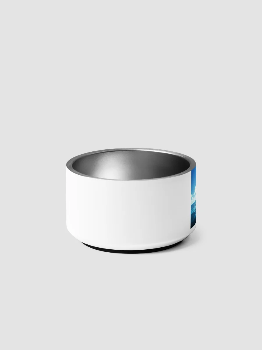Pet Bowls product image (6)