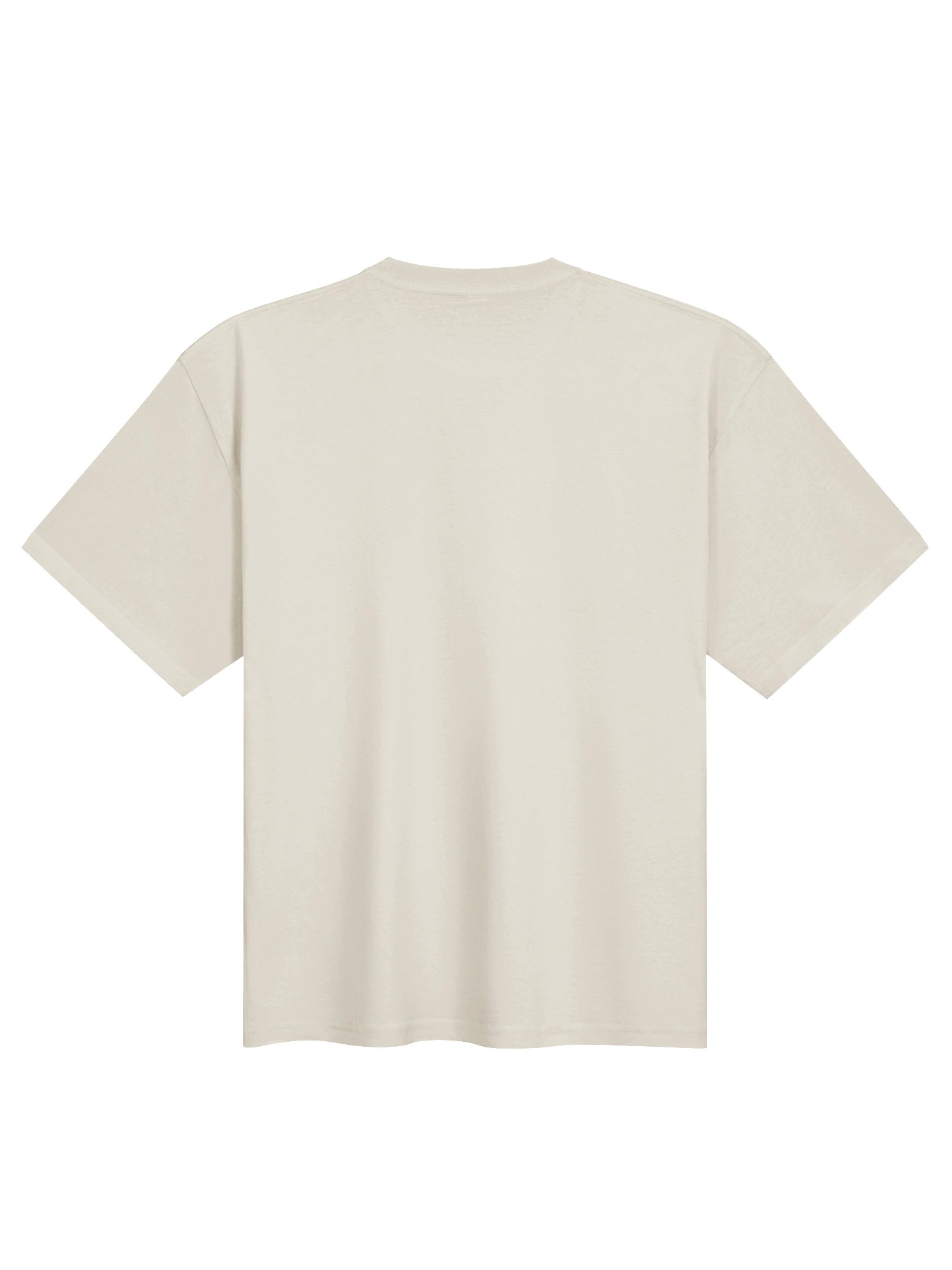 Plagued oversized tee product image (2)
