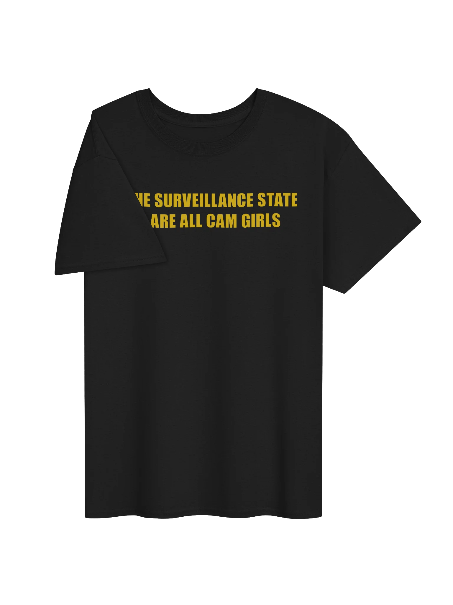 IN THE SURVEILLANCE STATE WE ARE ALL CAM GIRLS product image (25)