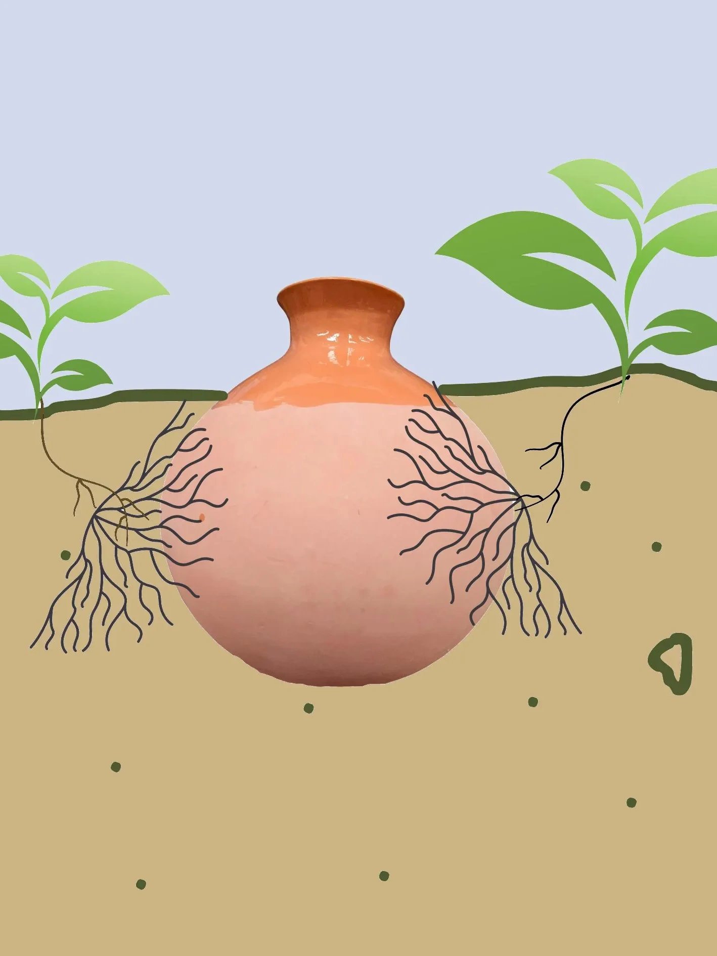 Medium Olla, Terracotta Olla, Watering System/With Neck product image (4)