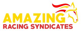Amazing Racing Syndicates