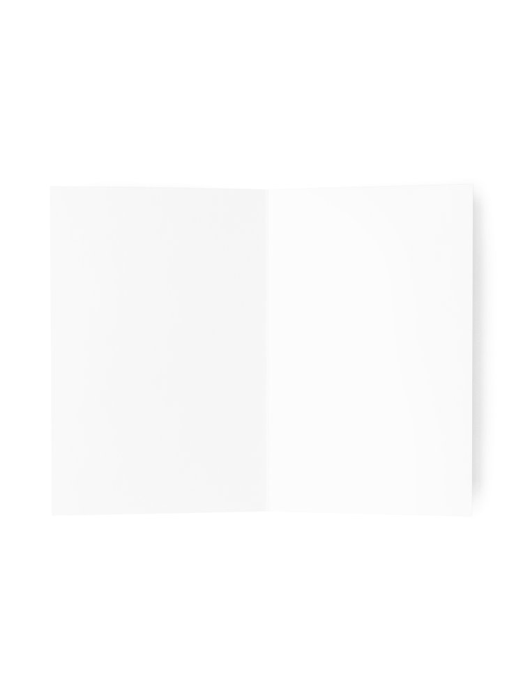 gnome product image (4)