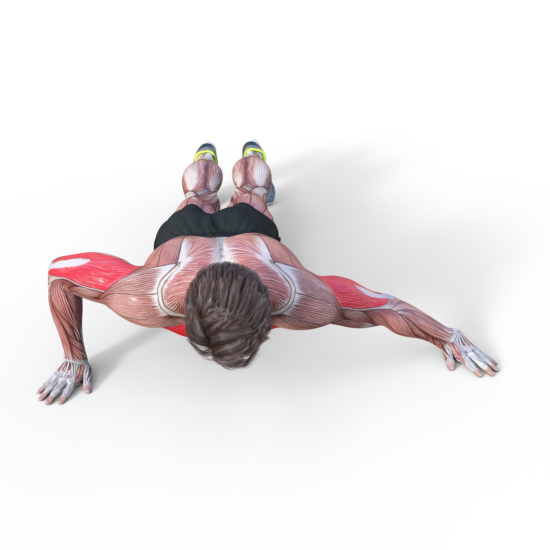 Archer Push-Ups product image (1)